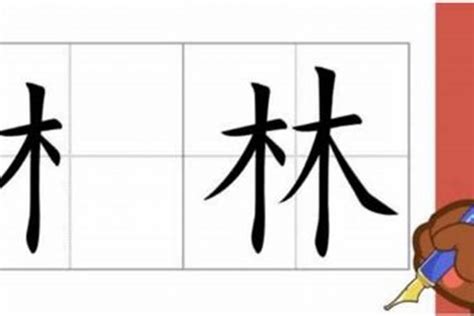 木的部首有哪些字|木字旁的有什么字